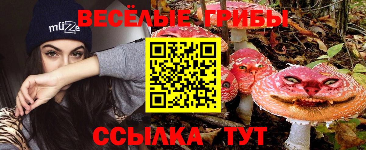 Псилоцибиновые грибы GOLDEN TEACHER Муром