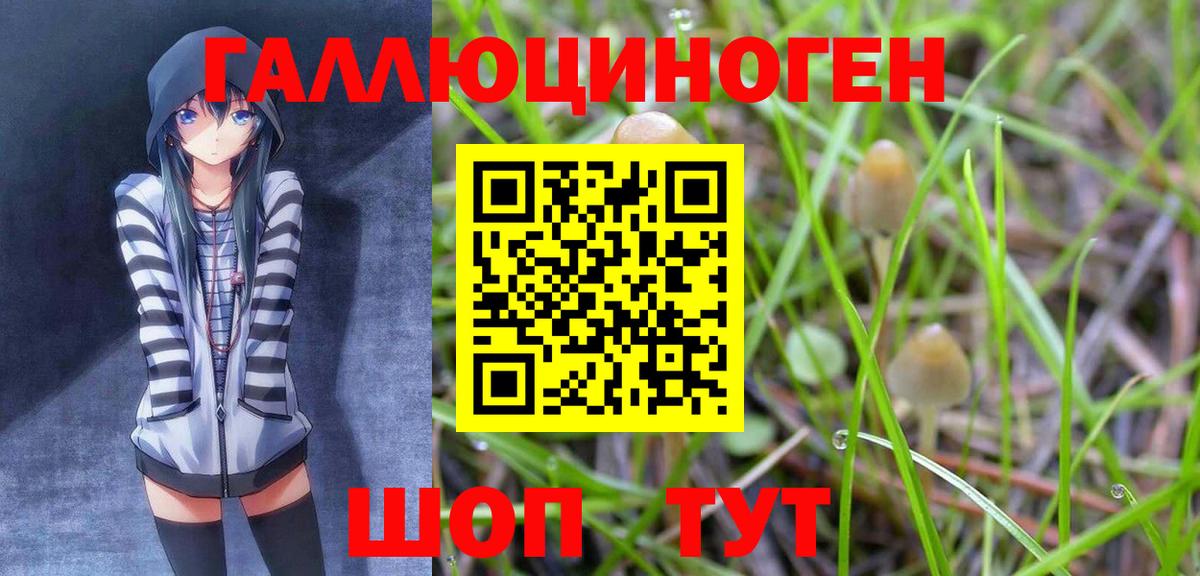 Псилоцибиновые грибы Cubensis  Вход с VPN  Муром 
